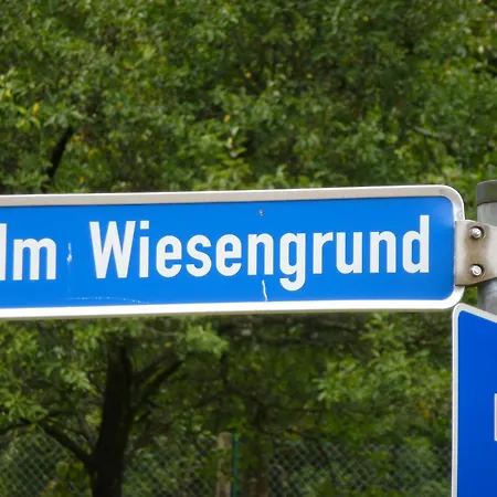 فندق Waldschloesschen 3*