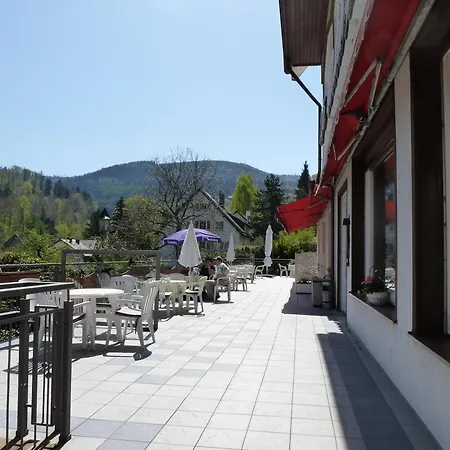 فندق Waldschloesschen 3*