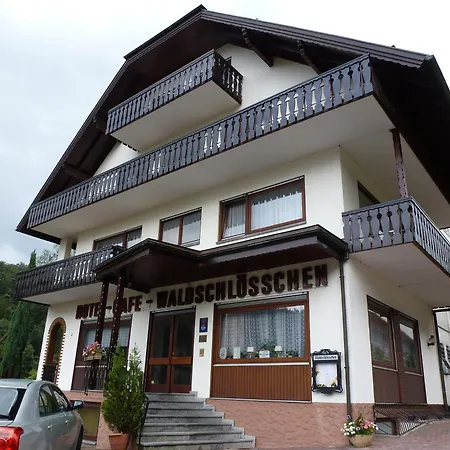 Waldschloesschen باد هيرنالب