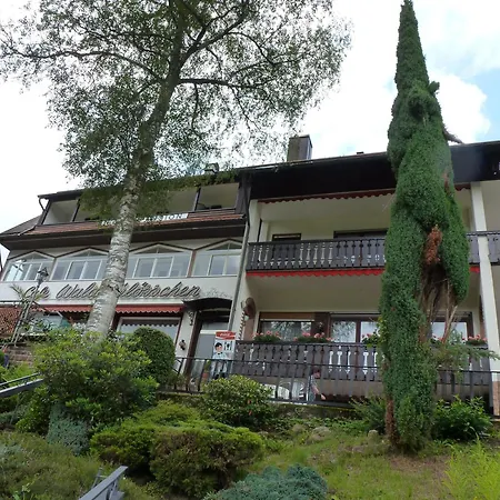 Waldschlösschen