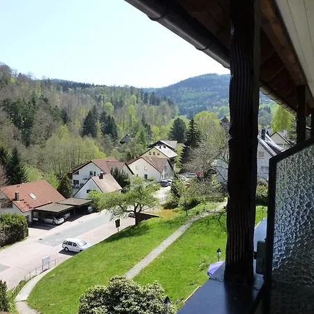 Hotel Waldschlösschen 3*