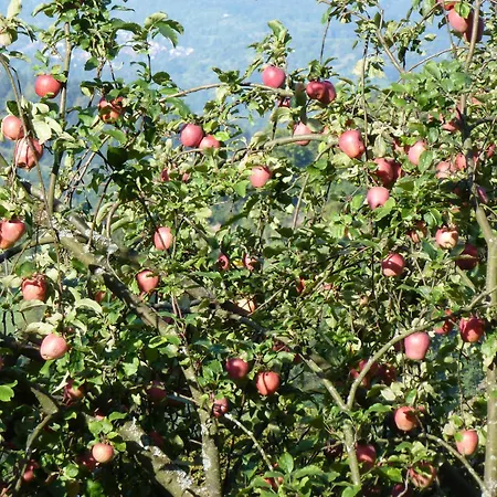 Waldschloesschen باد هيرنالب