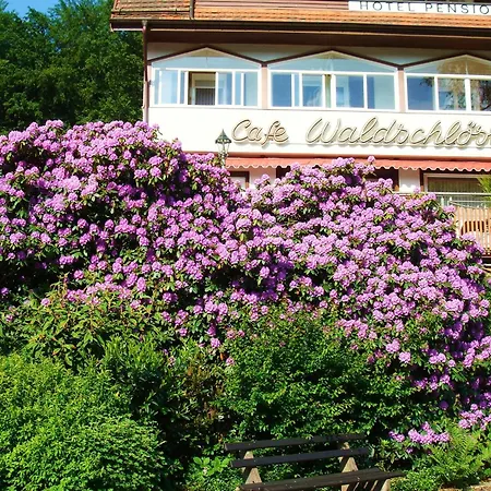 Hotel Waldschloesschen Bad Herrenalb