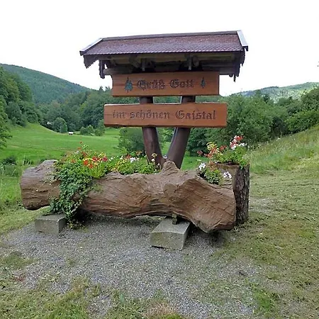 Waldschloesschen فندق باد هيرنالب