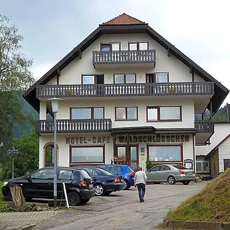 Waldschloesschen 3* باد هيرنالب