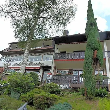 Waldschloesschen فندق 3*
