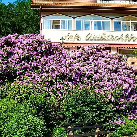 فندق Waldschloesschen