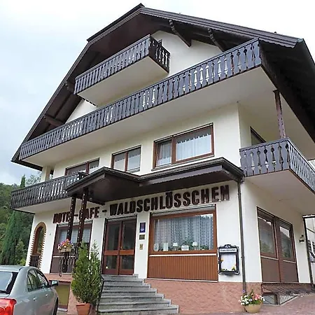فندق Waldschloesschen