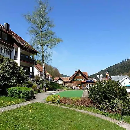 Waldschloesschen فندق