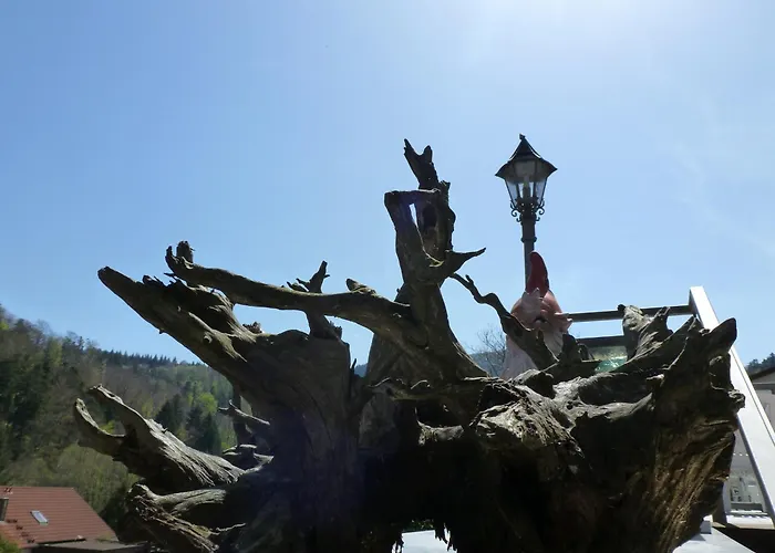 Hotell Waldschloesschen Bad Herrenalb