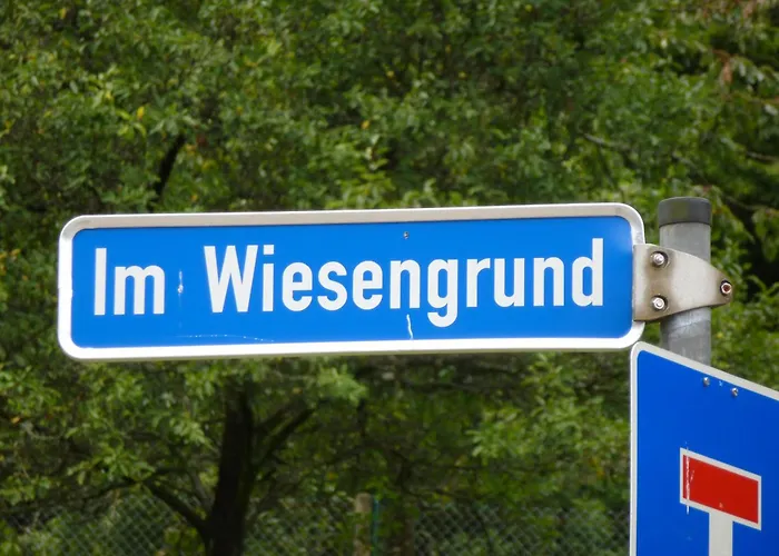 Hotell Waldschloesschen 3*