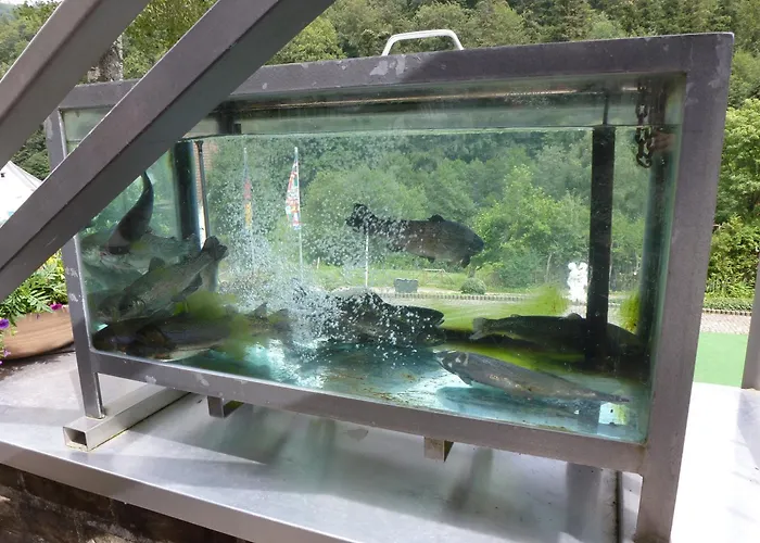 Hotell Waldschloesschen Bad Herrenalb