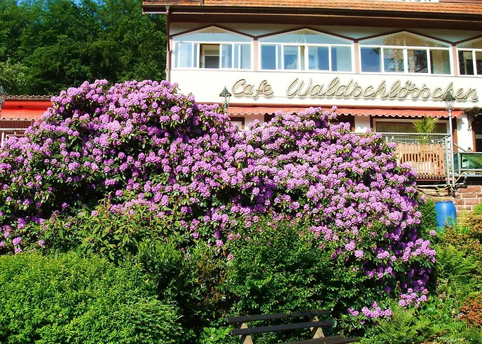 Hotell Waldschloesschen Bad Herrenalb